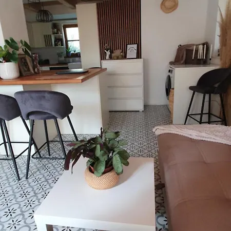 Apartment Serenita Vendeghaz