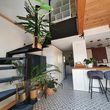 Serenitá Nemesgulacs